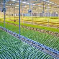 Food Security & Sustainable Agriculture